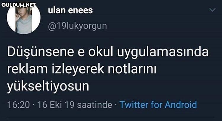 günaydınlar, güne, çığır...