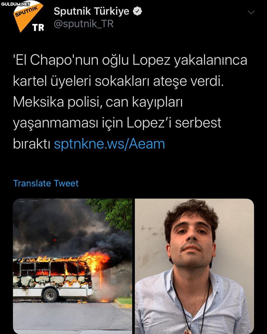 Devletin acizliği,...