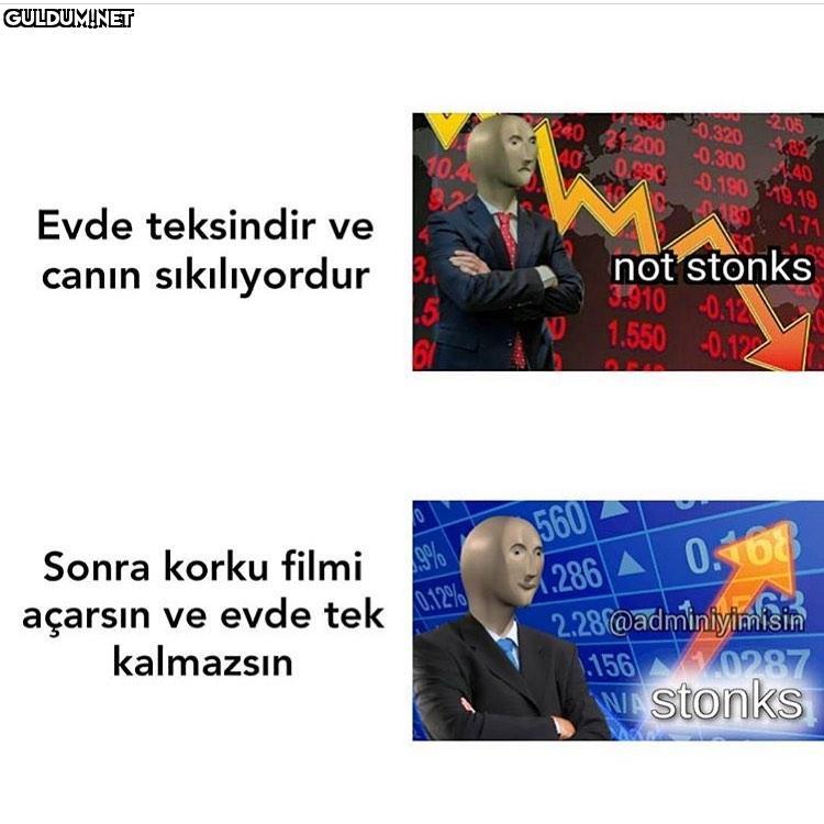 Ve eğlenirsin. Stonks...