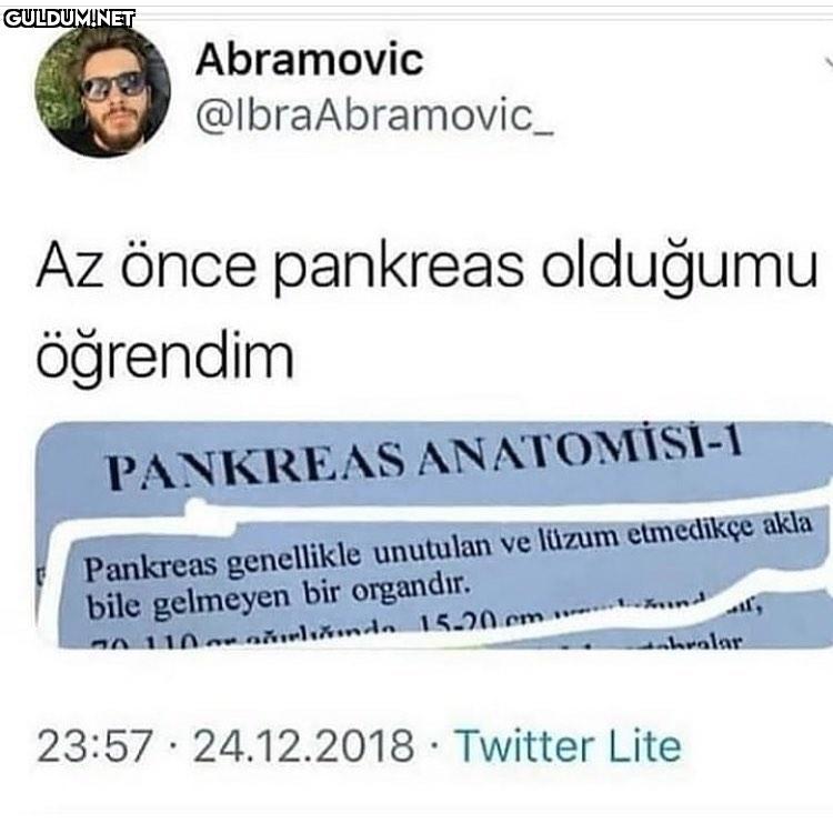 Aslında bir pankreasmışım...