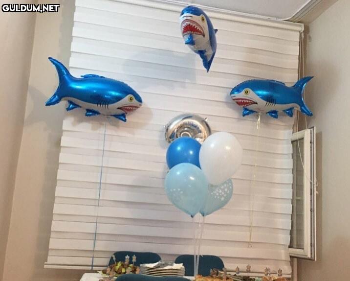 Shark köşesi dnndjddjjs...