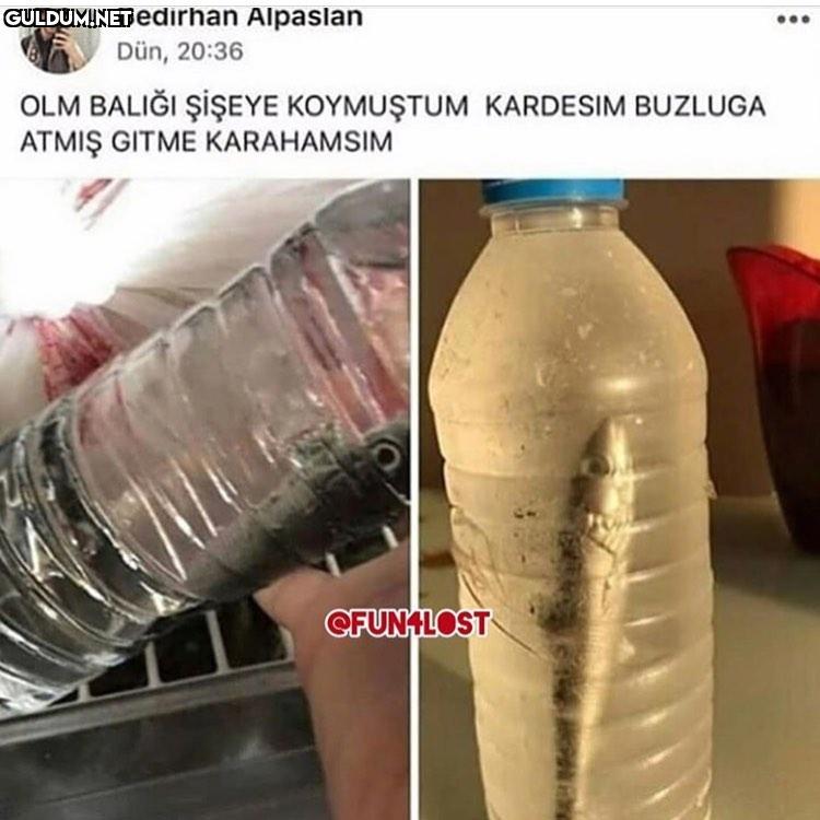 Ölmüş galiba Bedirhan...