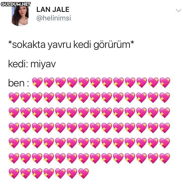 bu ben gercekten LAN JALE...