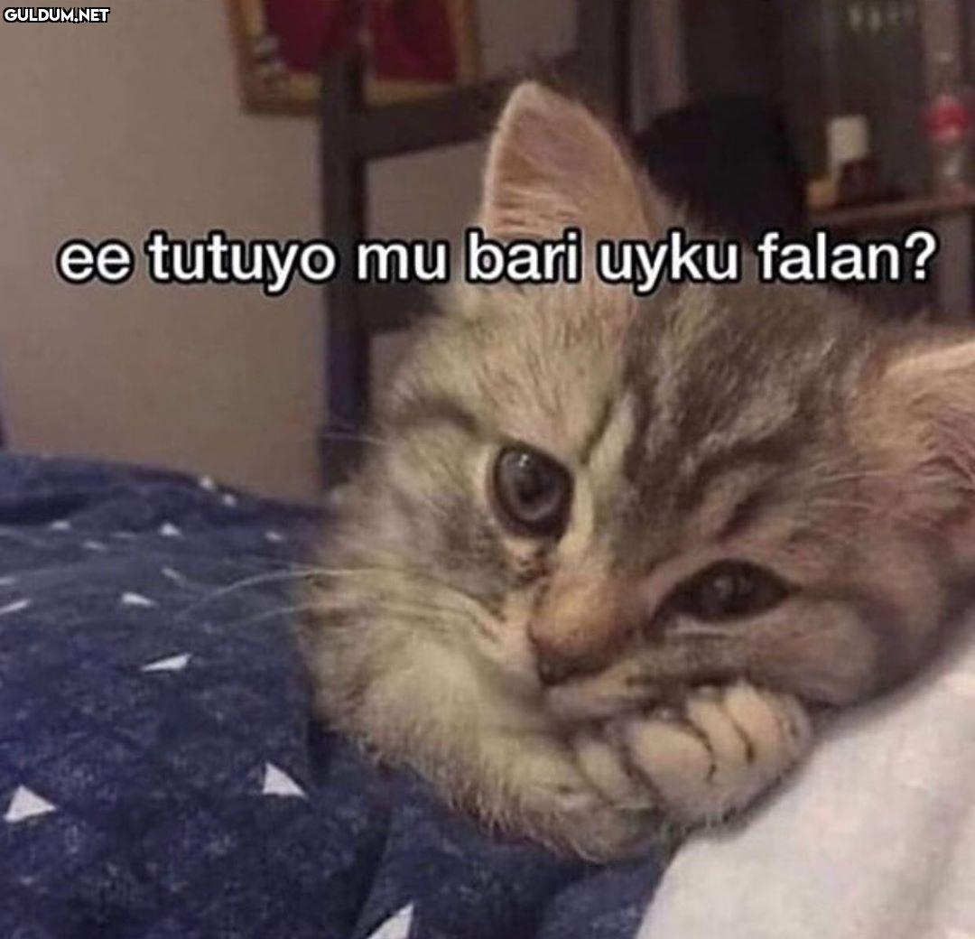 iyi geceler 🥰 ee tutuyo mu...