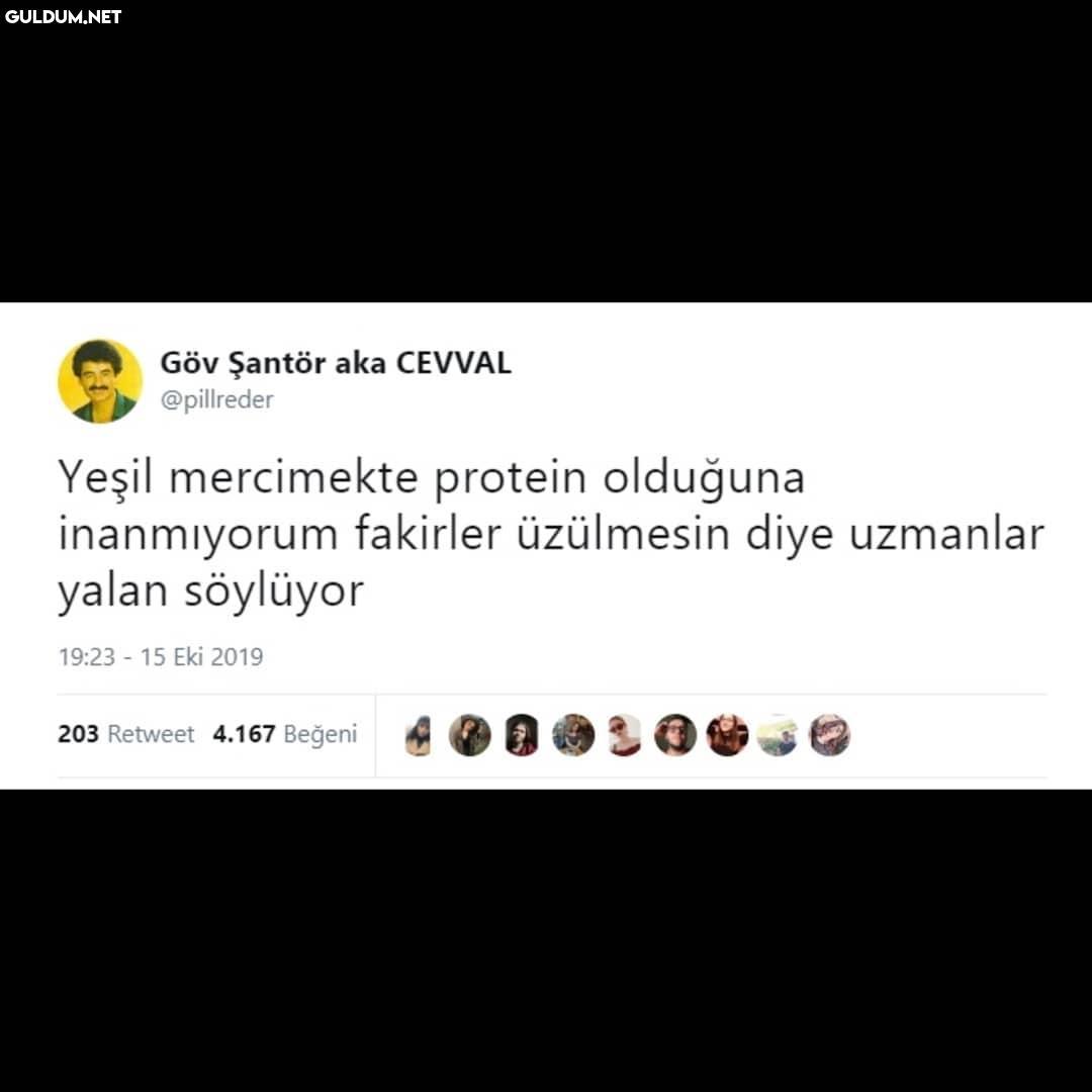 Göv Şantör aka CEVVAL...
