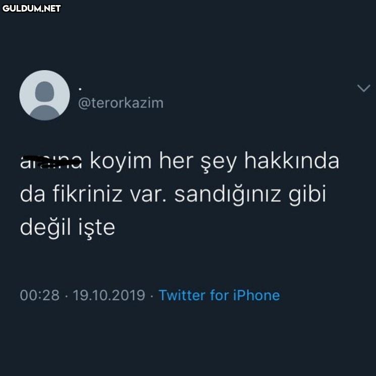 @terorkazim ain koyim her...