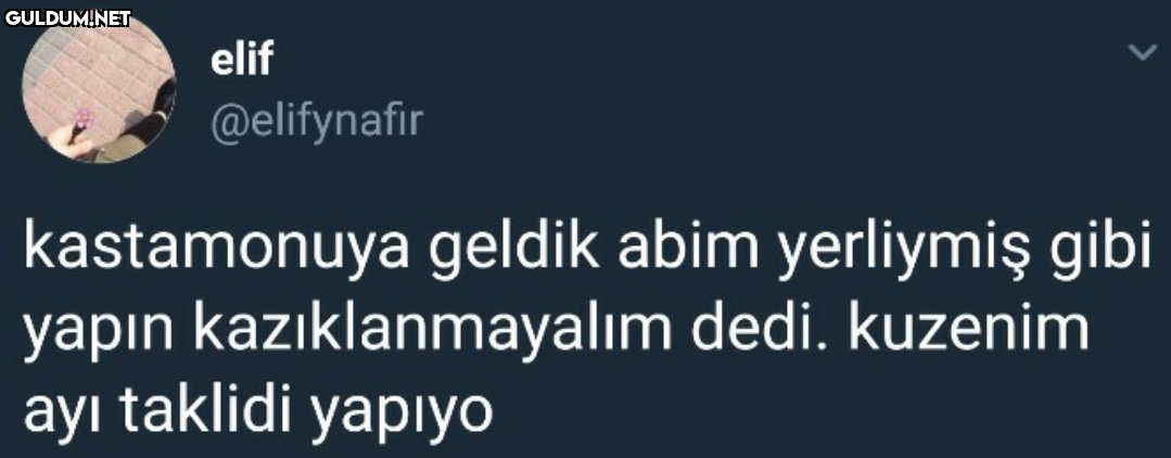 elif @elifynafir...