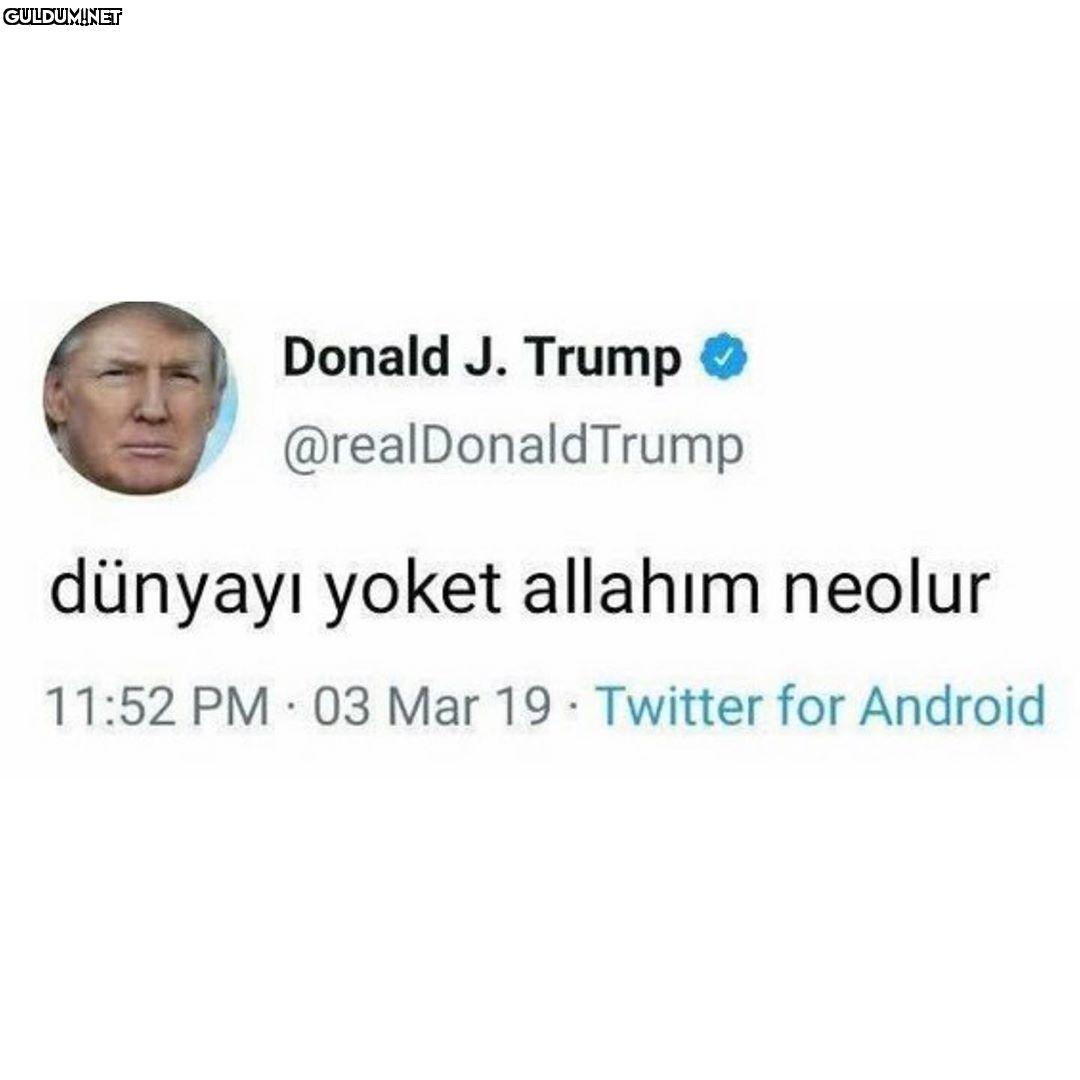 Şaşırtmazdi
 Donald J....