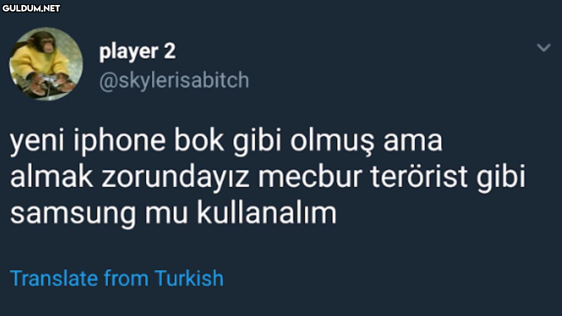 Alternatifsizlik...