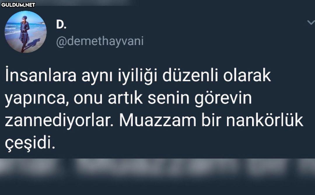 D. @demethayvani insanlara...