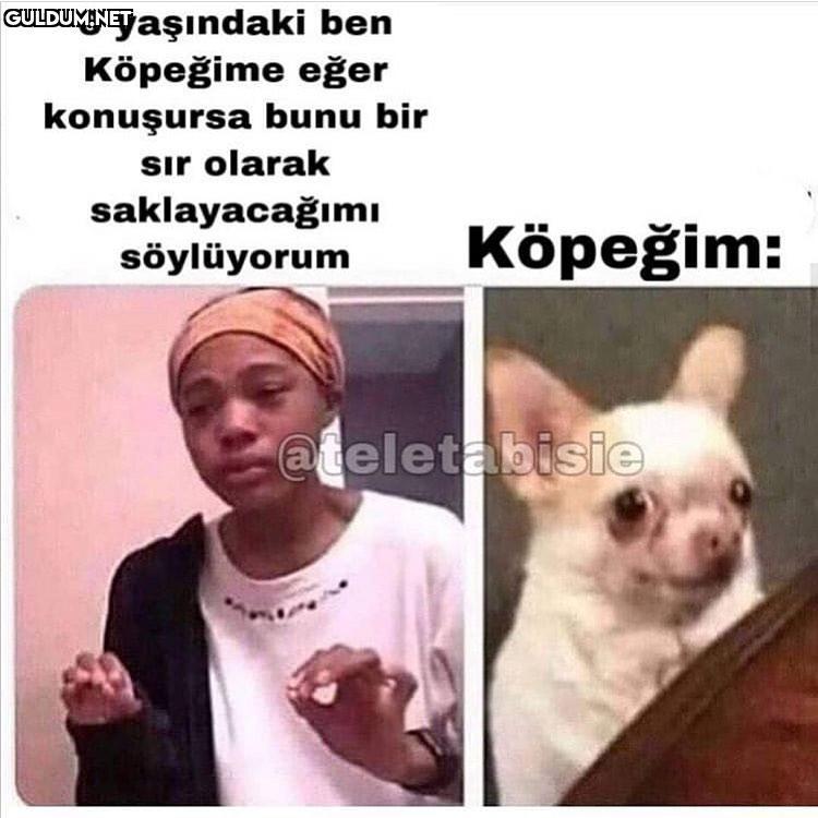 6 yaşindaki ben Köpeğime...