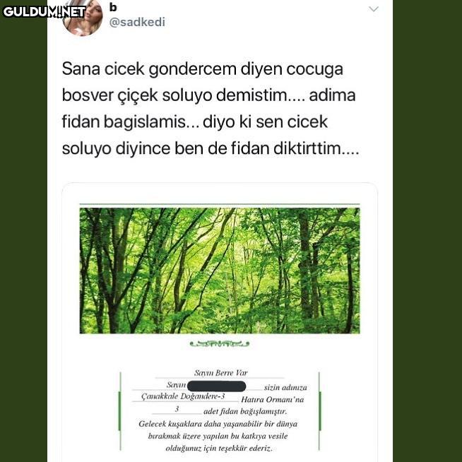 Kral hareket b @sadkedi...