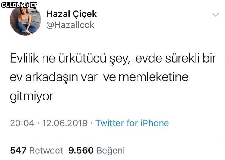Hazal Çiçek @Hazallcck...