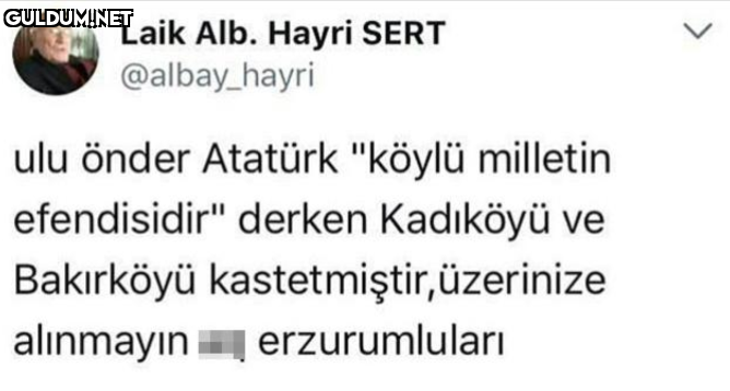 Laik Alb. Hayri SERT...