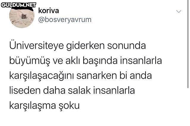 koriva @bosveryavrum...