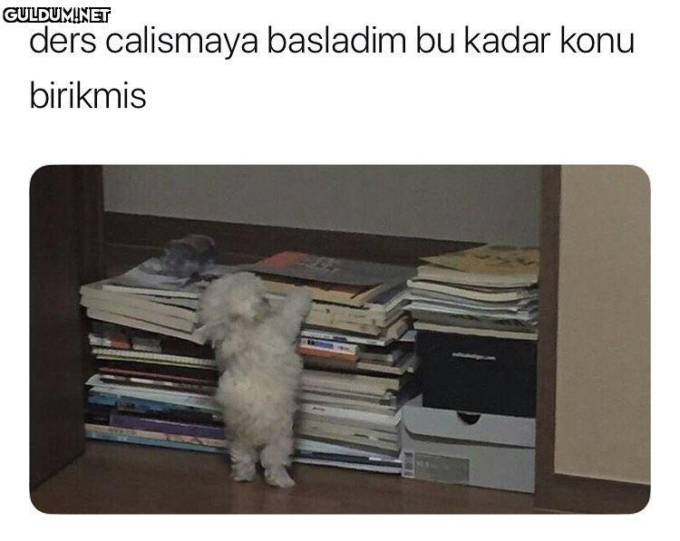 Konular yetişmiyorrrr ders...