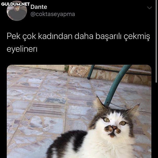 Dante @coktaseyapma Pek...