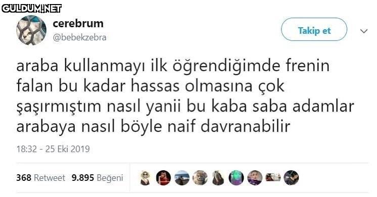 cerebrum Takip et...
