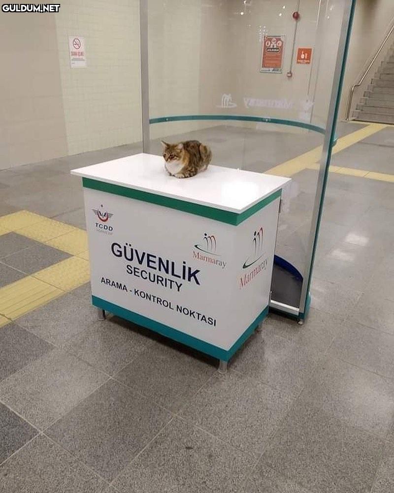 Geçsene sıraya arkadaşım,...