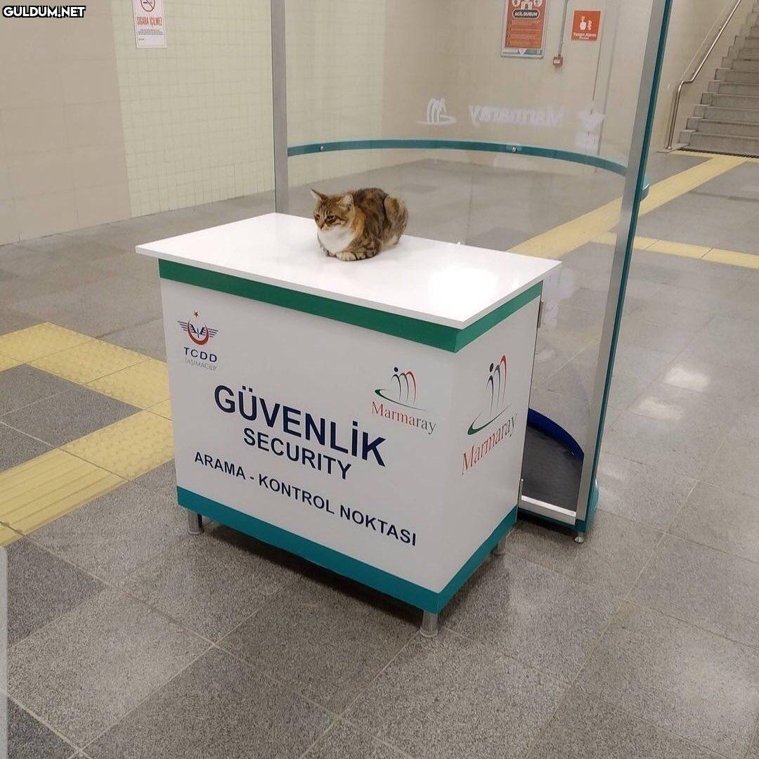 Birader çantayı makineye...