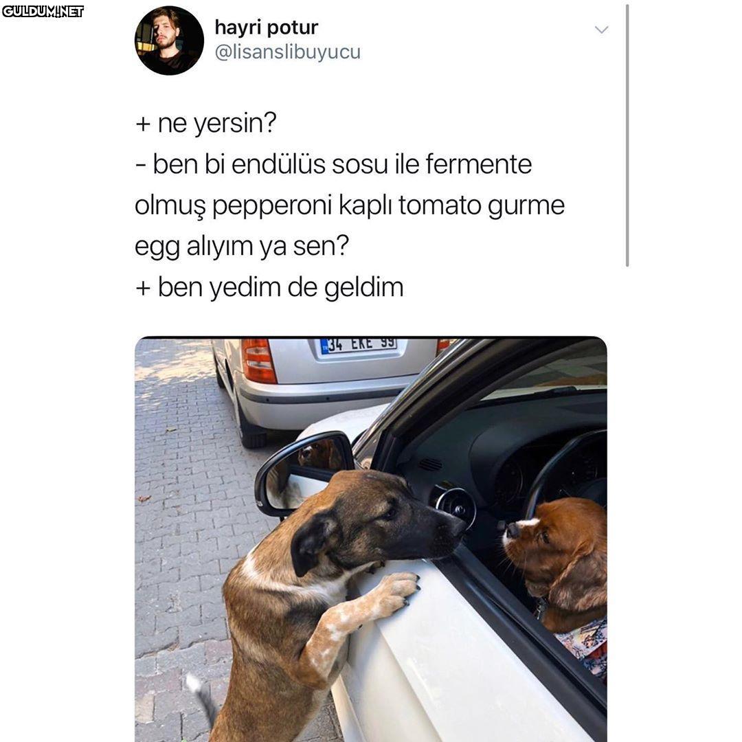 Hayat hiç adil değil
hayri...