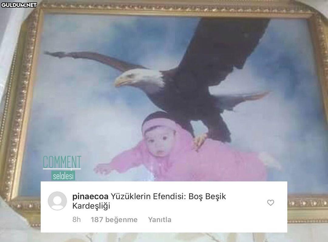 comment şelalesi 7193...