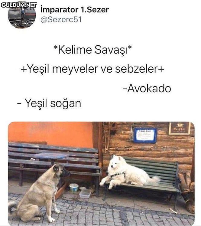 imparator 1.Sezer...