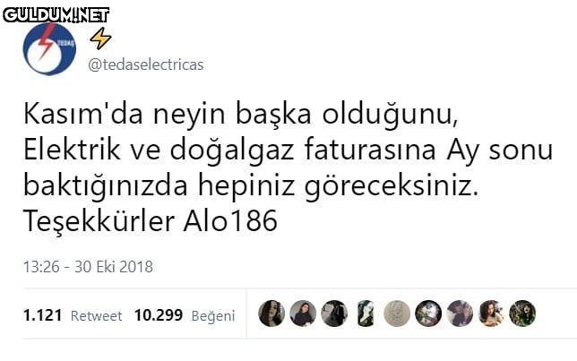 @tedaselectricas Kasim'da...