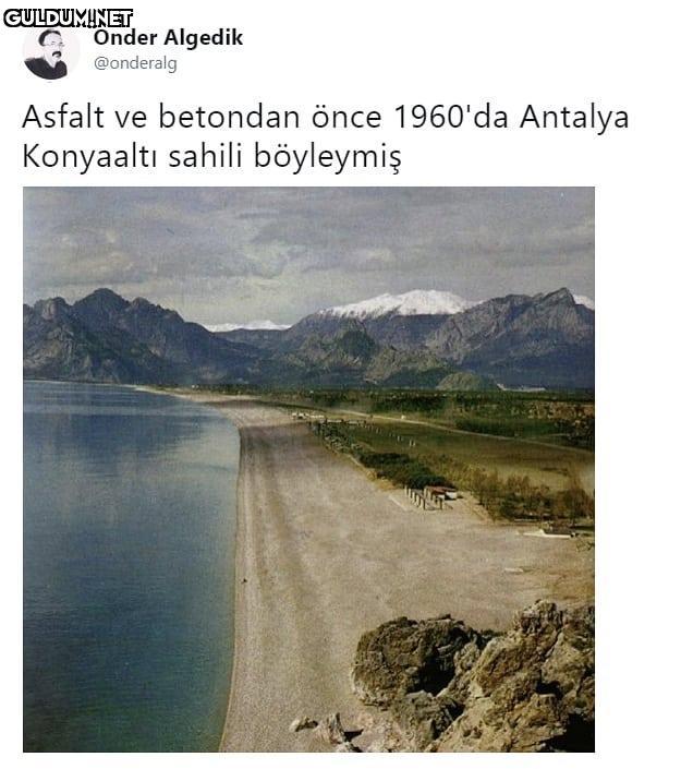 Onder Algedik @onderalg...