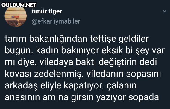 ömür tiger...