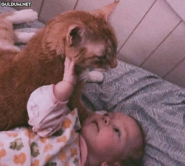 Günaydın 🐱👶
