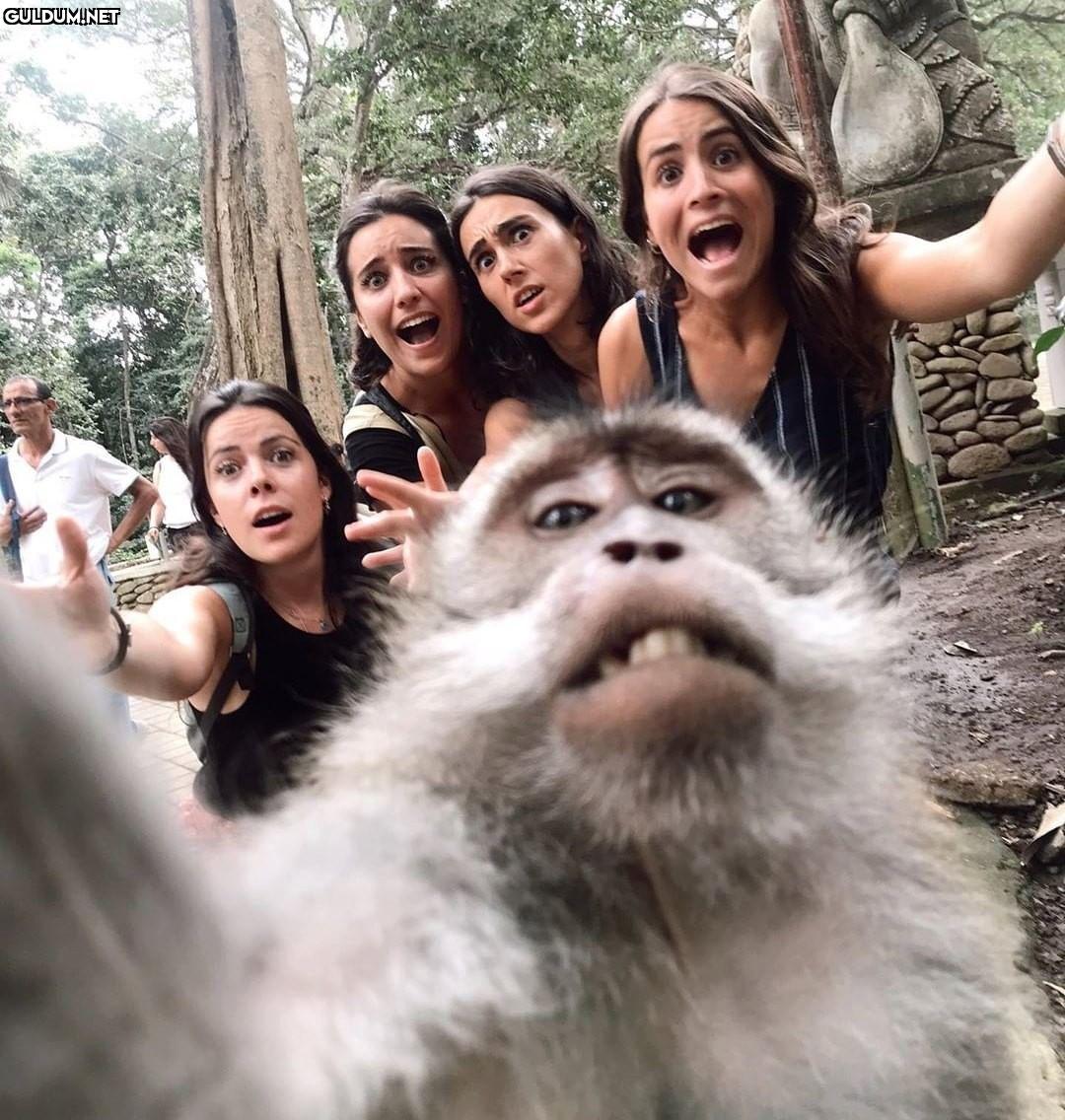 Günaydın 🤳
-
📷 @elene_ad
-