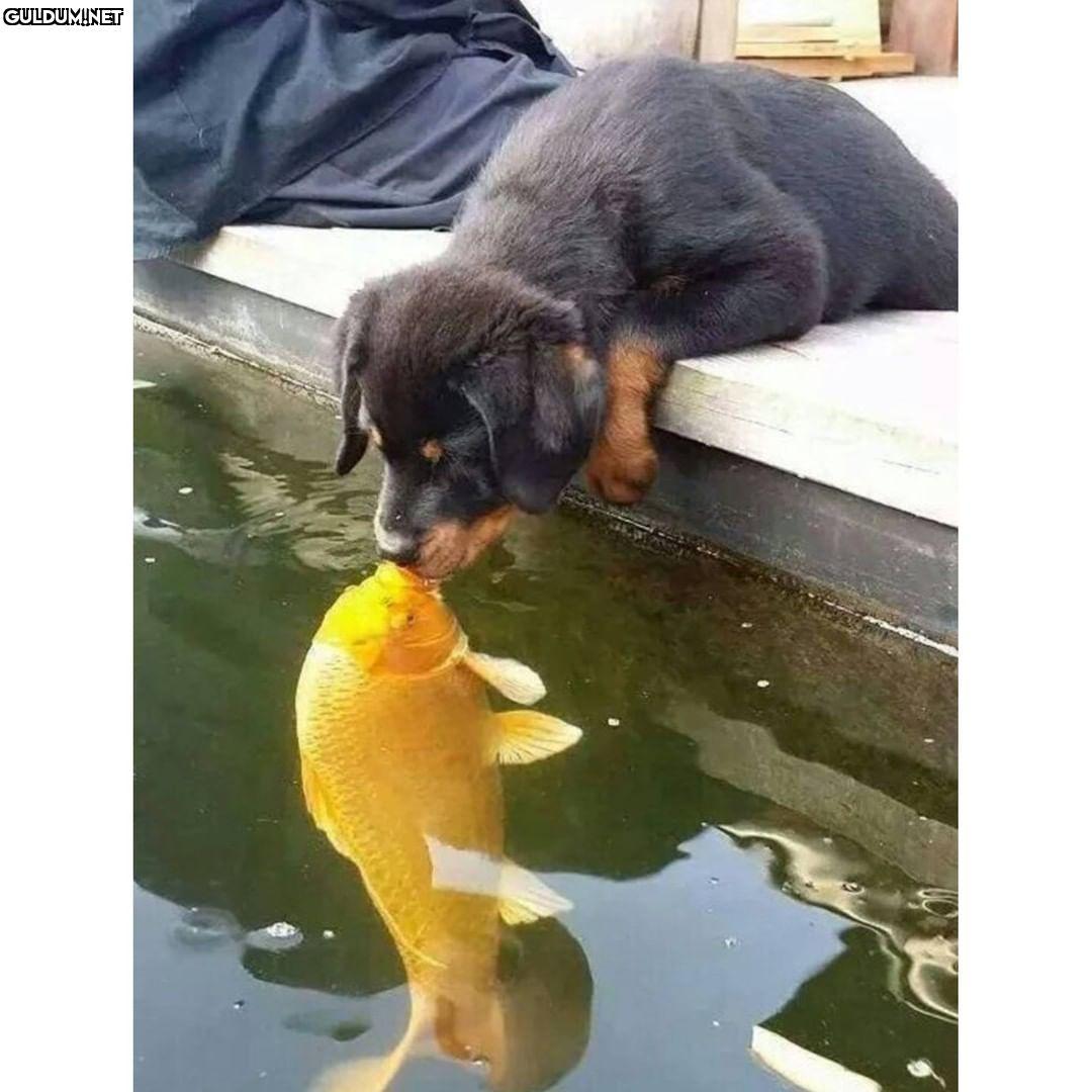 Günaydın 💗