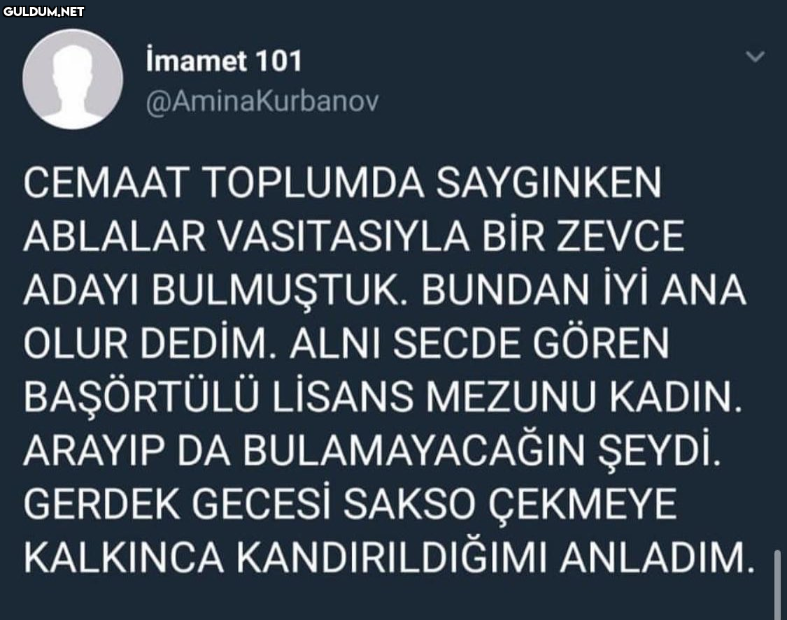 imamet 101 @AminaKurbanov...