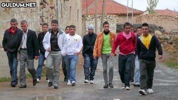 reservoir dogs