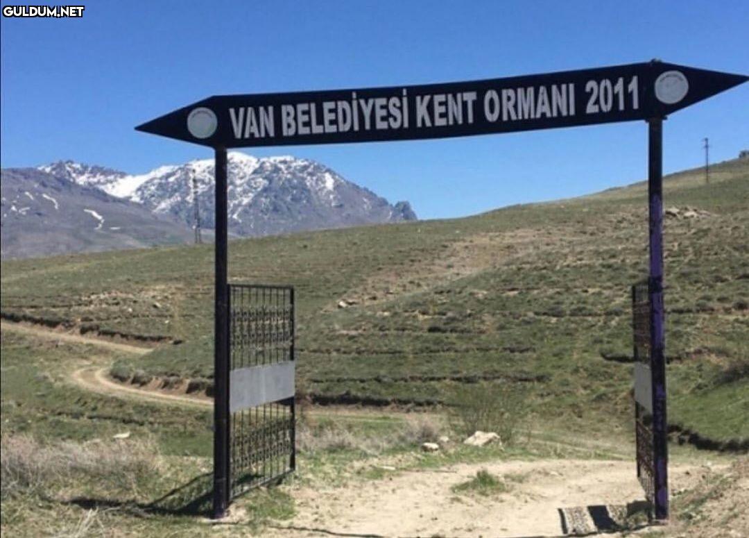 Arkadaşlar son çıkan...