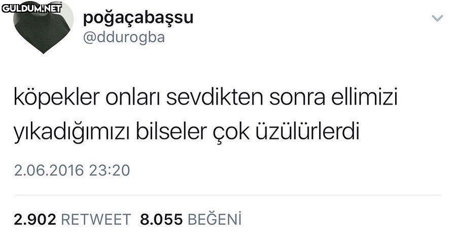 poğaçabaşsu @ddurogba...