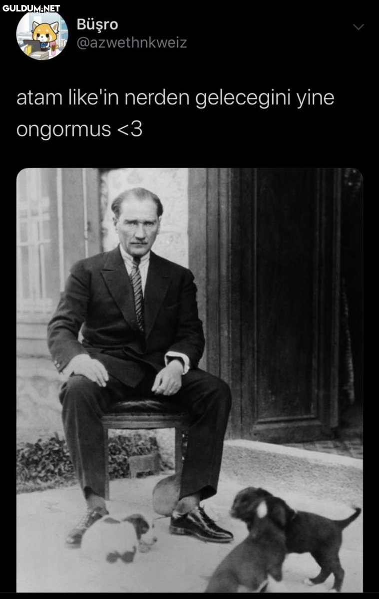 Büşro @azwethnkweiz atam...