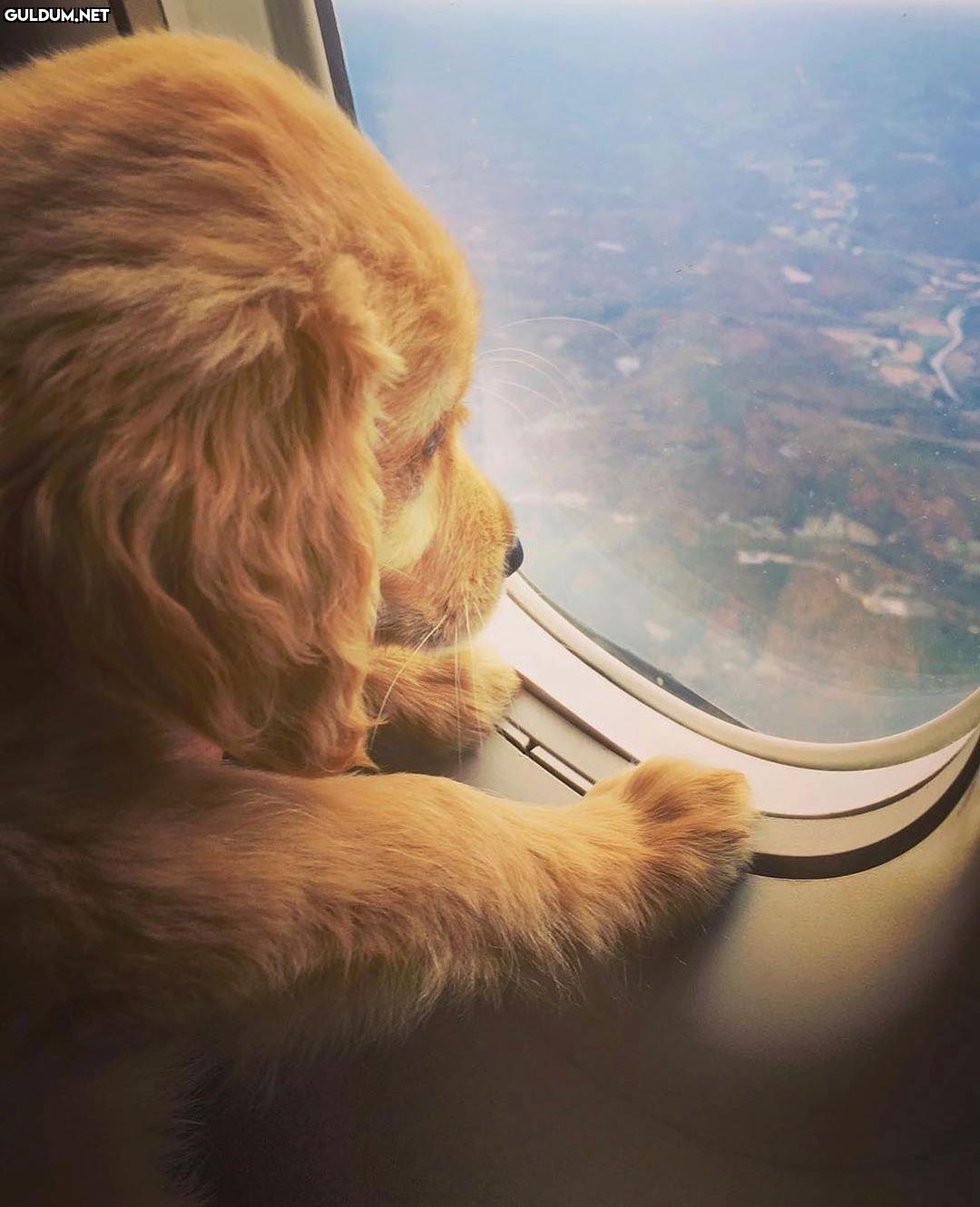 Günaydın 😊
-
@connorandcooper -