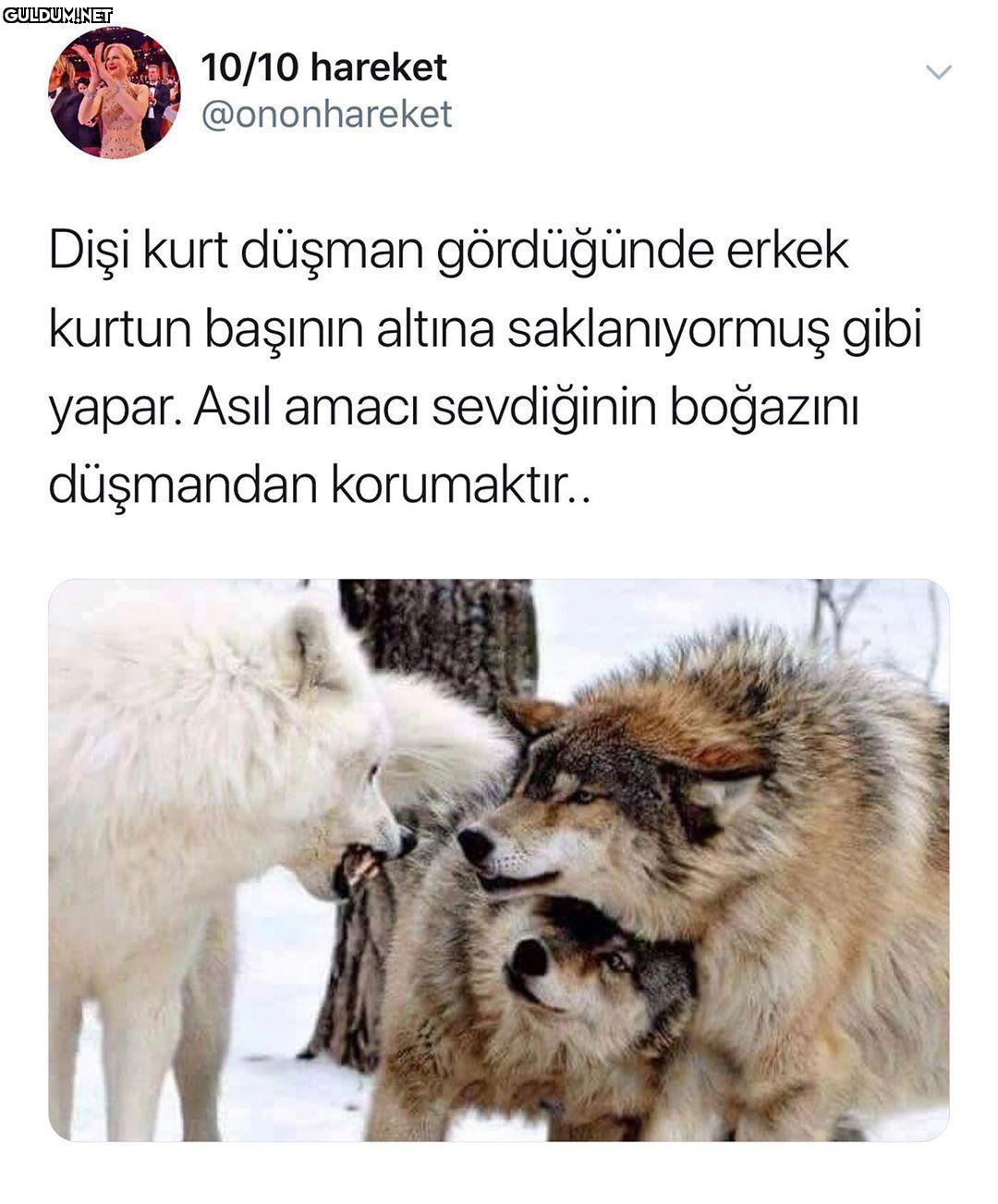 Boşluğuma geldi feci...