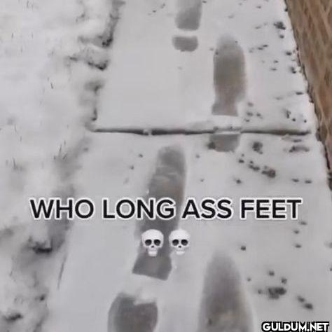 WHO LONG ASS FEET