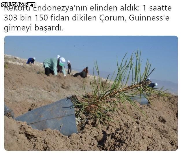 Helal olsun 👏👏 Rekoru...