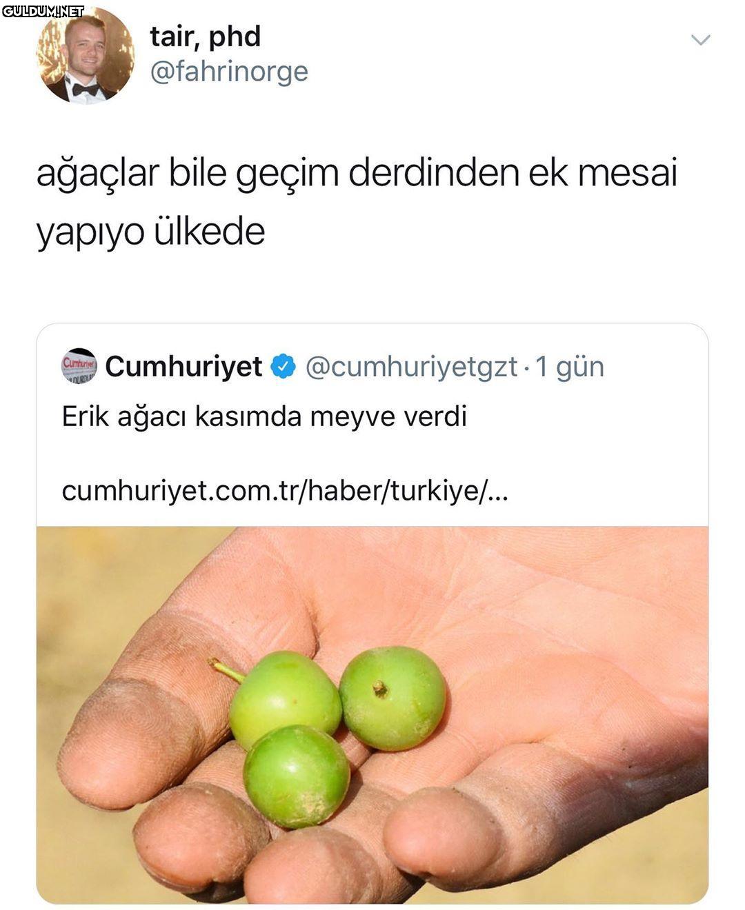 Hayat zor tair, phd...