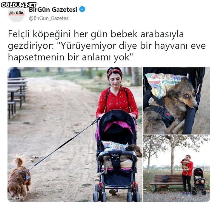 Helal olsun sana 👏👏 BirGün...