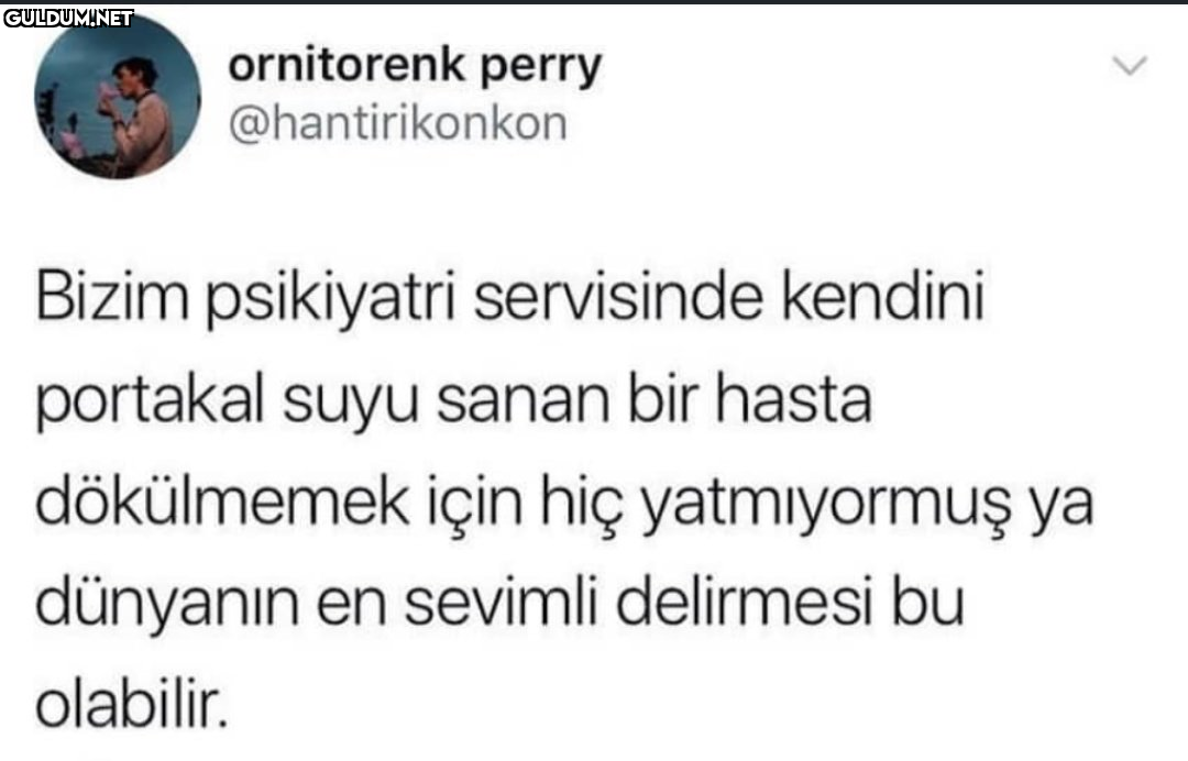 ornitorenk perry...