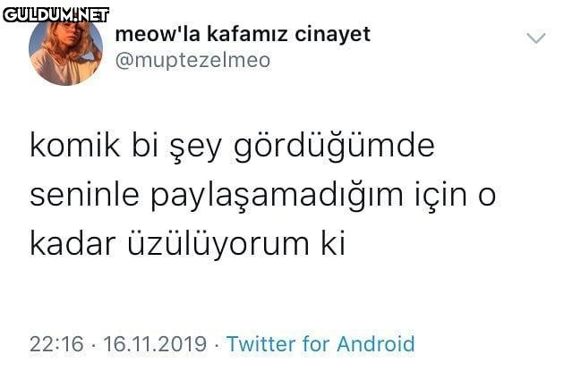 meow'la kafamız cinayet...