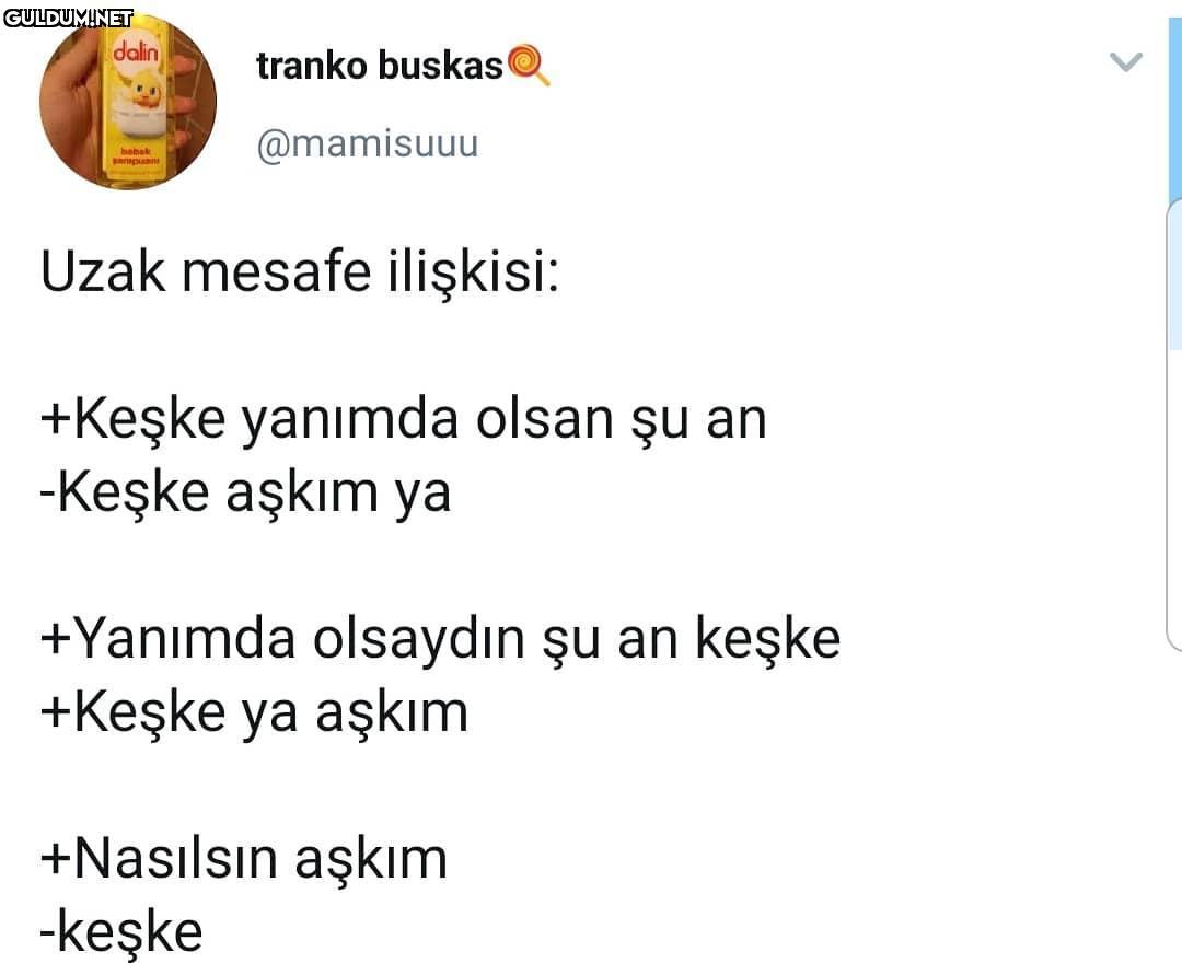 dalin tranko buskas...