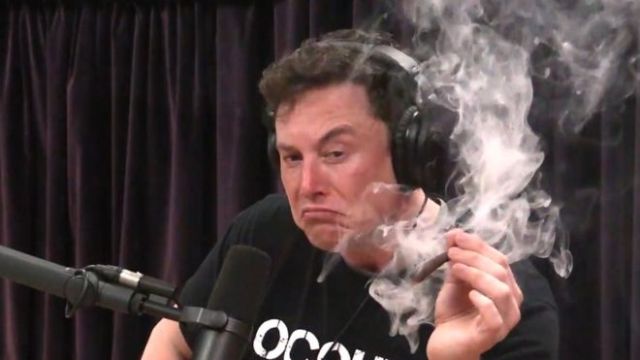 Sizin için elon musk'ın...