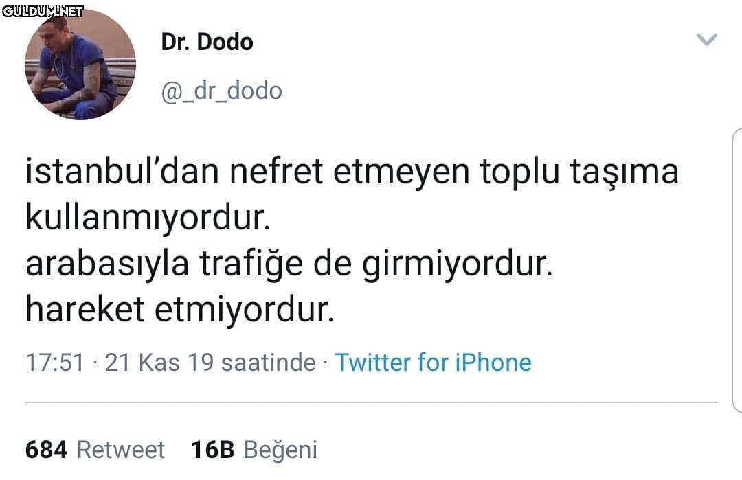 Dr.Dodo @_dr_dodo...