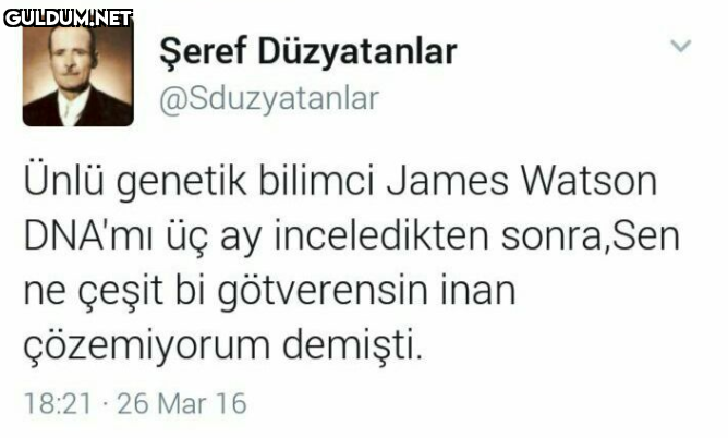 Şeref Düzyatanlar...